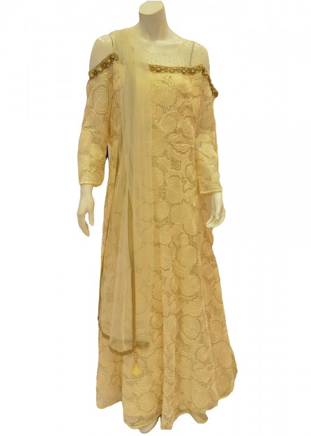 Beige Embroidered Net Gown with Seqences
