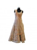 Net With Silver Embroidery Lehenga 