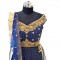 Royal Blue With Embroidery Lehenga 