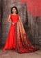Orange & Shaded Color Gown